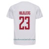 Camiseta de fútbol Dinamarca Pierre-Emile Hojbjerg 23 Segunda Equipación Mundial 2022 - Hombre